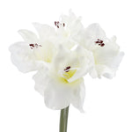 Lade das Bild in den Galerie-Viewer, Amaryllis - künstlich - weiß- 3 Blüten
