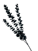 Lade das Bild in den Galerie-Viewer, Zweig Eukalyptus- künstlich - schwarz
