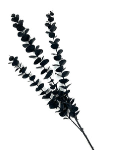 Zweig Eukalyptus- künstlich - schwarz
