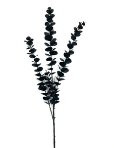 Zweig Eukalyptus- künstlich - schwarz