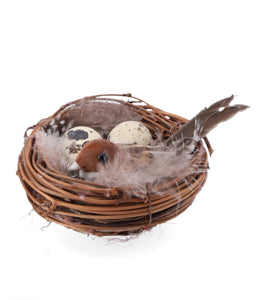 Nest mit Wachteleier und hellem Vogel